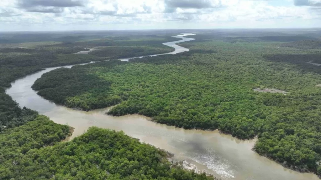 Área conhecida como Terras de Timbotuba, localizada no município de Alcântara (MA), enfrenta uma escalada de crimes ambientais que ameaça fauna, flora e o equilíbrio dos recursos hídricos da região.