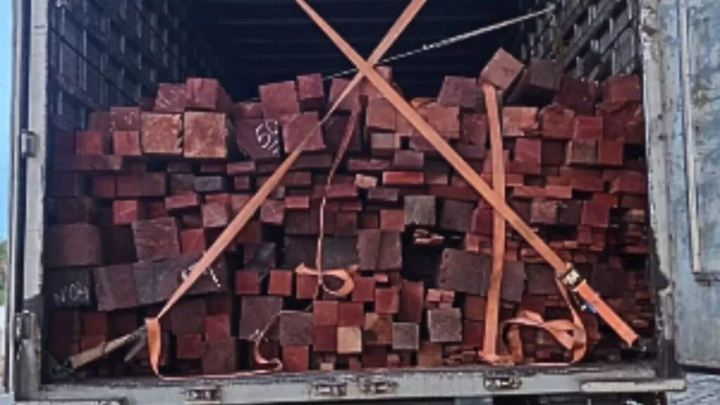 Foto: PRF (Maranhão)